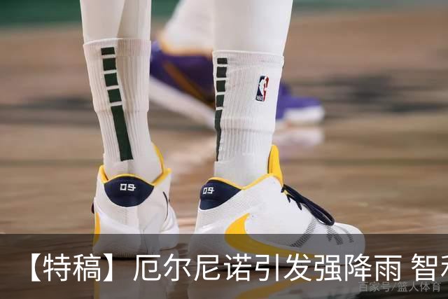 【特稿】厄尔尼诺引发强降雨 智利沙漠花海盛放