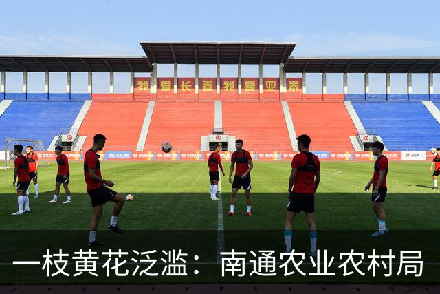 一枝黄花泛滥：南通农业农村局“看不见”，还是装瞎？