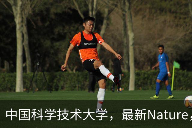 中国科学技术大学，最新Nature，首次合成！