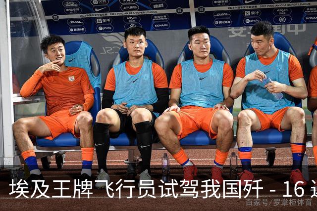 埃及王牌飞行员试驾我国歼 - 16 返航，再度坐上阵风座舱久久不语，说出的一席话让大家无言以对