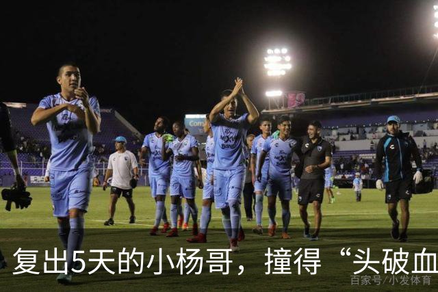 复出5天的小杨哥，撞得“头破血流”