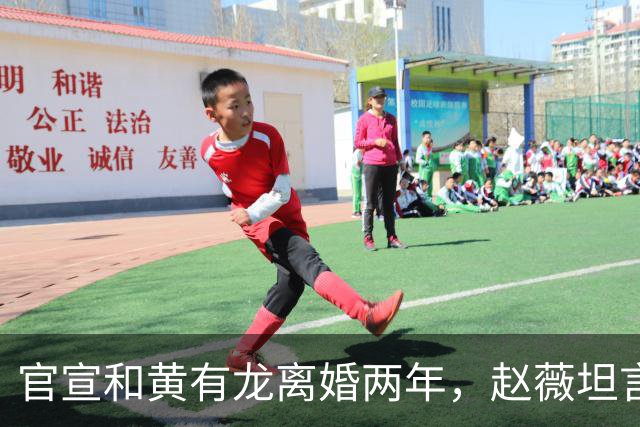 官宣和黄有龙离婚两年，赵薇坦言心头大患，幸亏有个男人给她撑腰