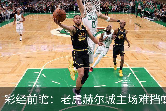 彩经前瞻：老虎赫尔城主场难挡蜂群，看好小蜜蜂带走三分