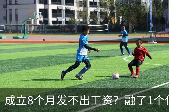 成立8个月发不出工资？融了1个亿的机器人公司，把行业遮羞布掀了
