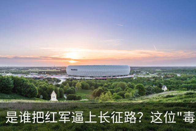 是谁把红军逼上长征路？这位"毒诸葛"，异常聪明，却下场凄惨