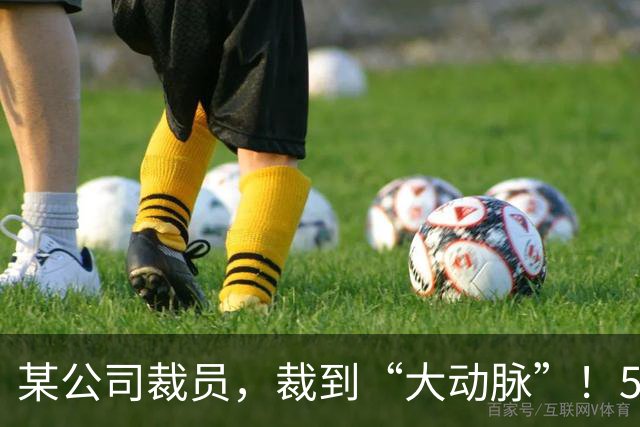 某公司裁员，裁到“大动脉”！5000 社保不肯给员工，转头得拿 8 万求员工私了！