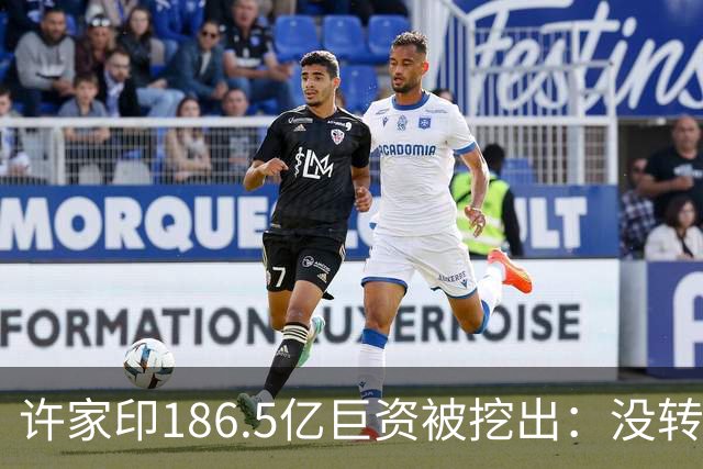 许家印186.5亿巨资被挖出：没转给丁玉梅，而是给了这位“老友”