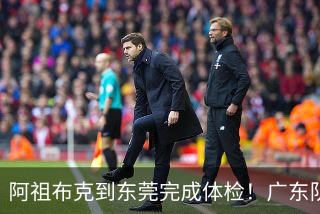 阿祖布克到东莞完成体检！广东队速度快，他和弗格18日对同曦迎首秀
